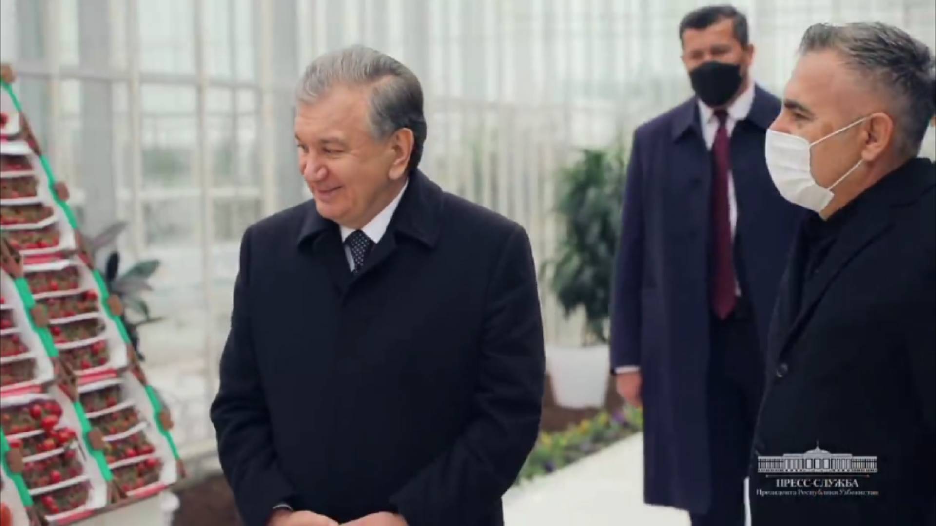Visit of the President of Uzbekistan Shavkat Mirziyoyev to the Bukhara organized greenhouse area.