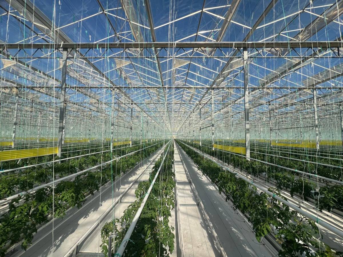 Fresh Food Agro